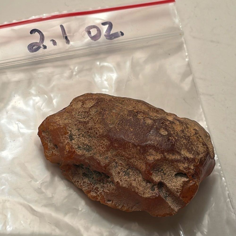 Natural Baltic Amber Rough 2.1 oz Raw Honey Cognac Amber Lapidary Collectible